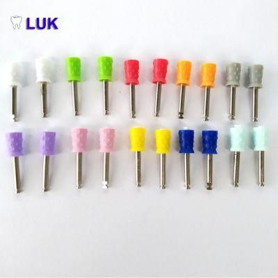 Factory Supply All Type High Quality Dental Prophy Brush Polishing Brush