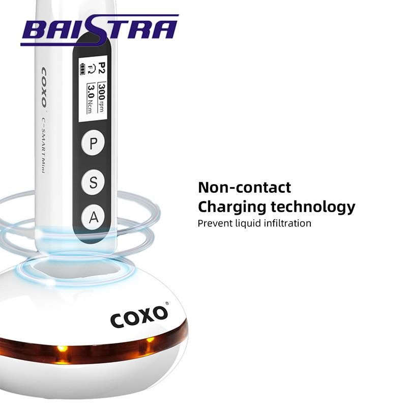 1: 1 Contra Angle Endodontic Wireless Dental Endo Rotary Motor Price