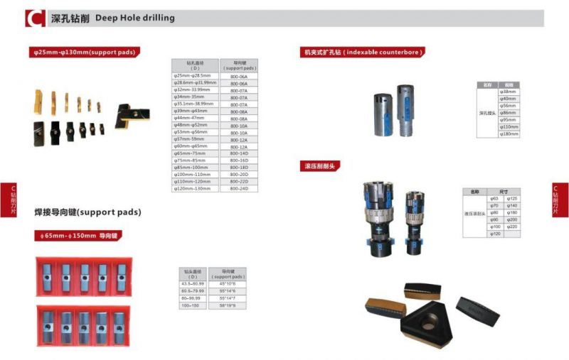 Indexable Carbide Inserts for Deep Hole Machining Corodrill 800-20d Support Pads Drill Heads