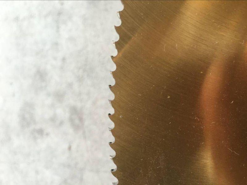 HSS Circular Saw Blade for Cutting Stainless Steel (SED-HSSB)