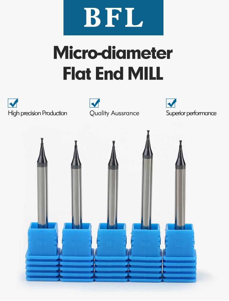 Bfl Solid Carbide HRC55 2 Flutes Micro Diameter End Mill