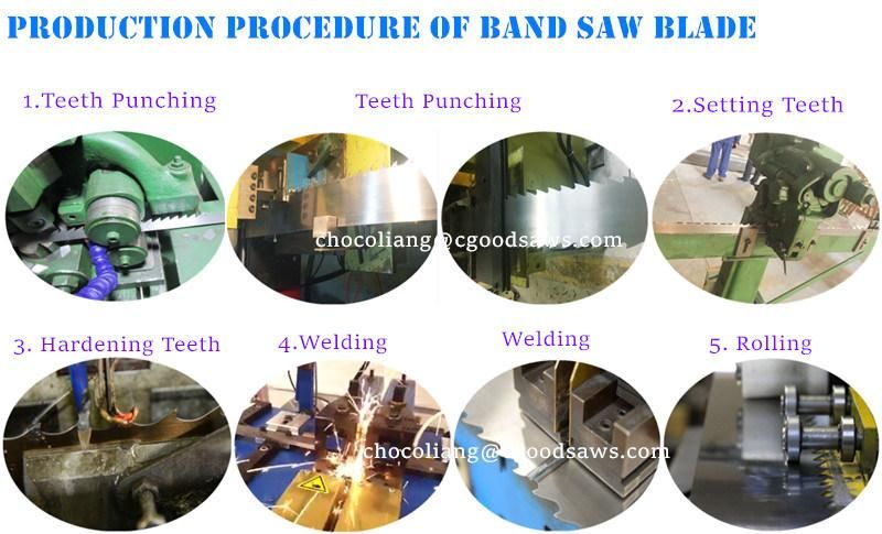 Sawmill Wood Mizer Wood Cutting Band Saw