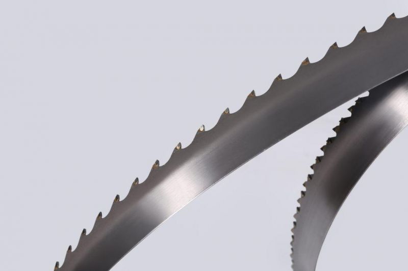 China Manufacture Tungsten Carbide Tipped Bandsaw Blade for Cutting Aluminum Foam Copper Foam Carbon (RVC) Foam