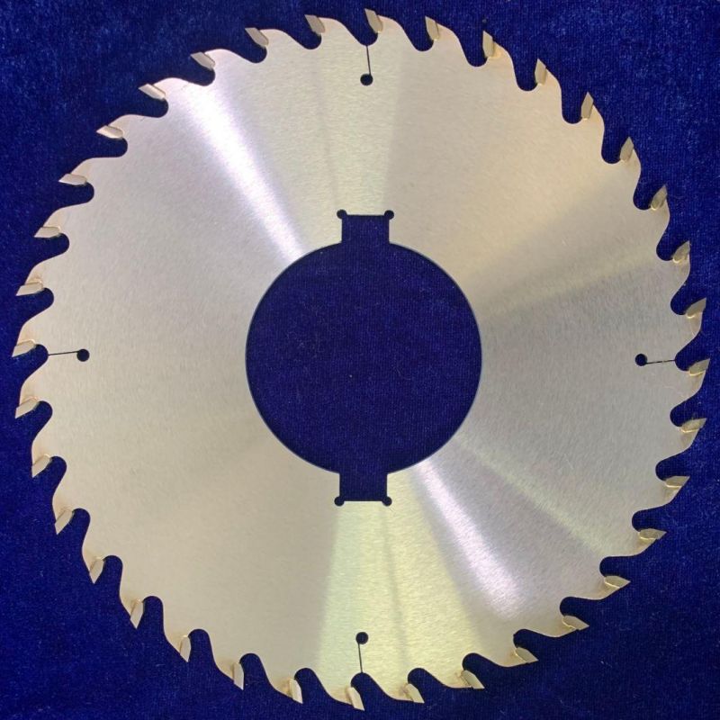 Tct Multichip Saw Blade with Rakers