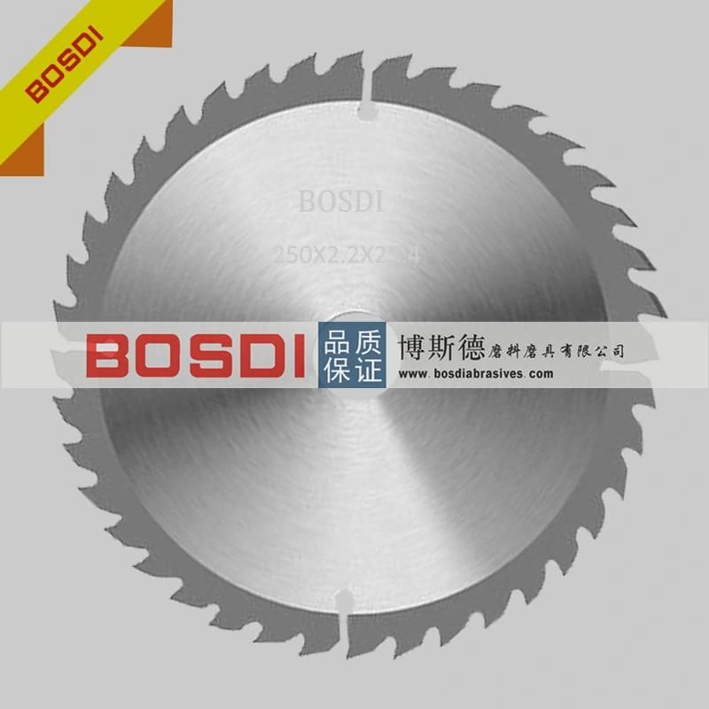 120t Diamond Saw Blade for Pipe, Flat Disc, Cutting Disc/Wheel/Disk, T41, 250mm