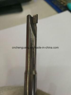 Diamond End Mills, Diamond Turning Tools, Diamond Monobloc Tools