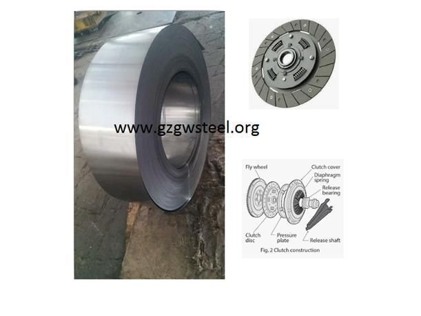 High Carbon Steel Strips for Various Application