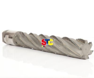 Long End Mills with Carbide Brazed Tip