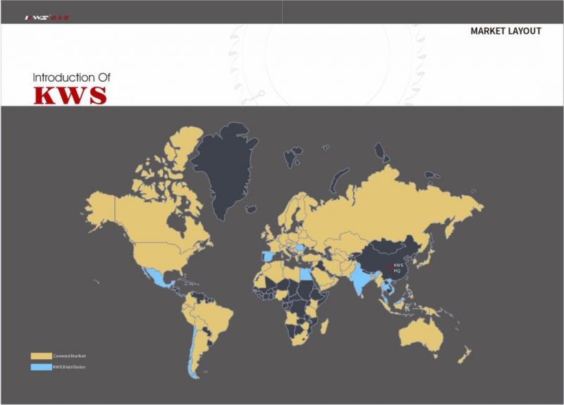 Kws Circular Saw Blade for Panel Sizing Machine Woodworking Tools