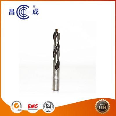 Big Size High Speed Steel 2 Flutes Twist Drill Bit Used on CNC Machine