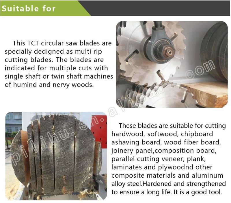 Tungsten Carbide Tipped Circular Saw Blade for Cutting Branch