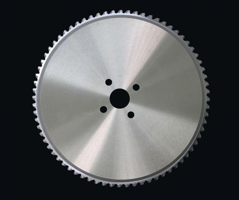 China Cutting Uncoated hss splitting band knife plastic shredder blades freud Circular saw blade