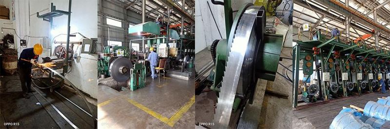 Carbon Band Saw Blade for Cutting Frozen Bone