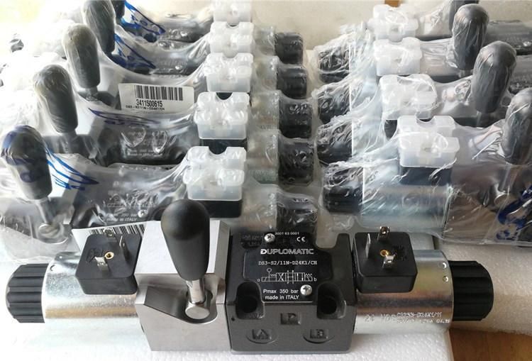 Grouting Machine Solenoid Valve Ds3-S2/11n-D24wk1/CH/W7/A215 C22s3-D24tk1 S3 S10