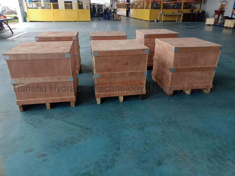 Tianshu Produce Replace Kawasaki Hmb270 Radial Piston Hydraulic Staffa Motor for Mining Winch and Shipping Anchor, Injection Molding Machine Use.