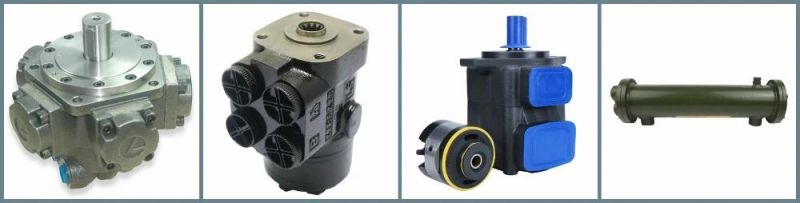 Made in China Danfoss Motor OMR Oms Omt Omv Moteur Hydraulique Hydrostatic Motor Hydraulic Winch Motor