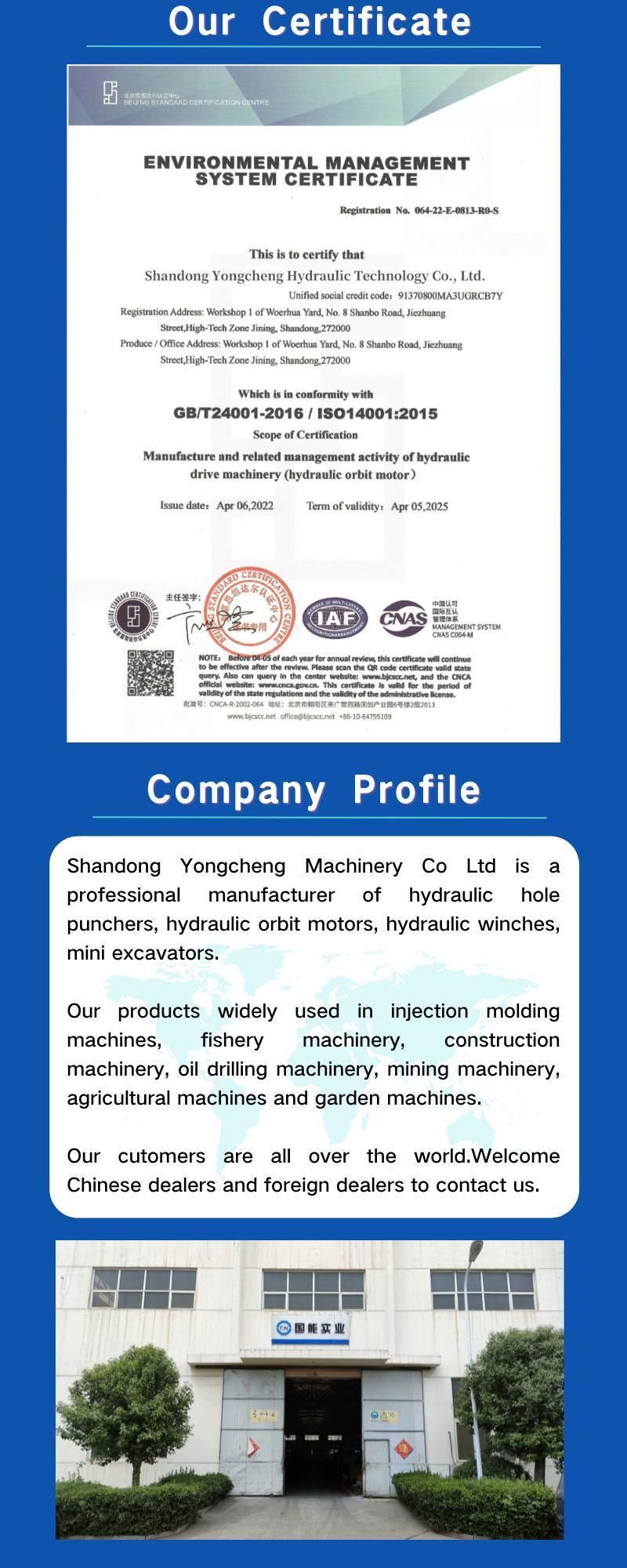 Displacement 125cc/R 2 Bolts Flange Low Speed Disc Distribution Flow Hydraulic Orbit Cycloid Motor Bm5 for Heavier Vehicles