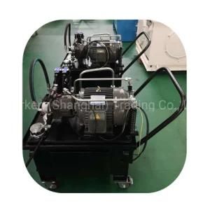 Portable Mini Hydraulic Power Unit Pack/Hydraulic System