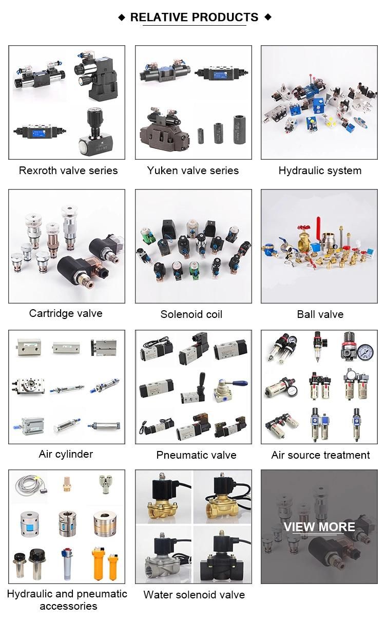 DHF08-220C Hydraulic poppet type sun valve