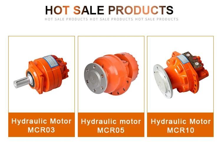 Expert Manufacturer of Piston Motor Hms08 Hmse08 Series for Sale