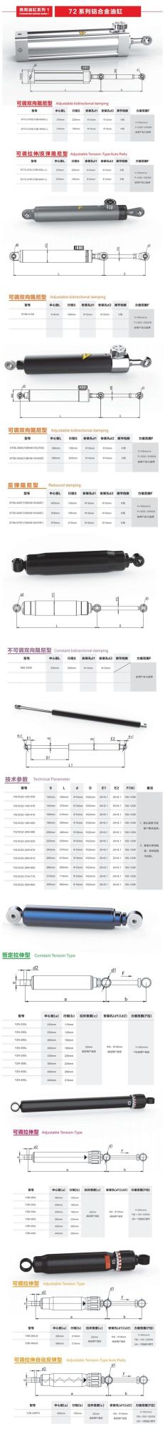 Constant Bidirectional Hydraulic Cylinder for Excerise Equipment