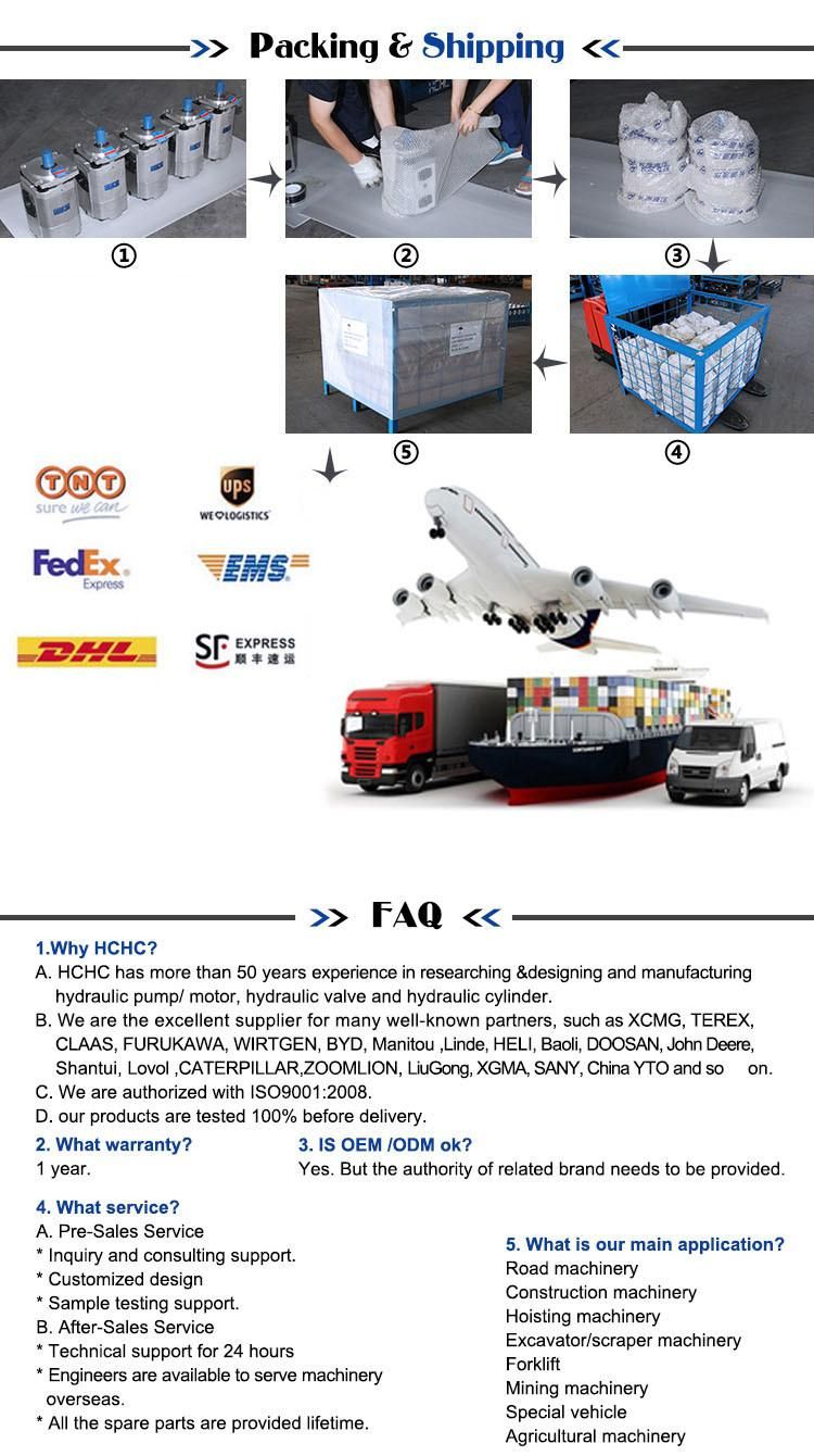 High Pressure Hydraulic Double Gear Oil Pump Power Unit Cbwlfc-E312/E310-Afzl