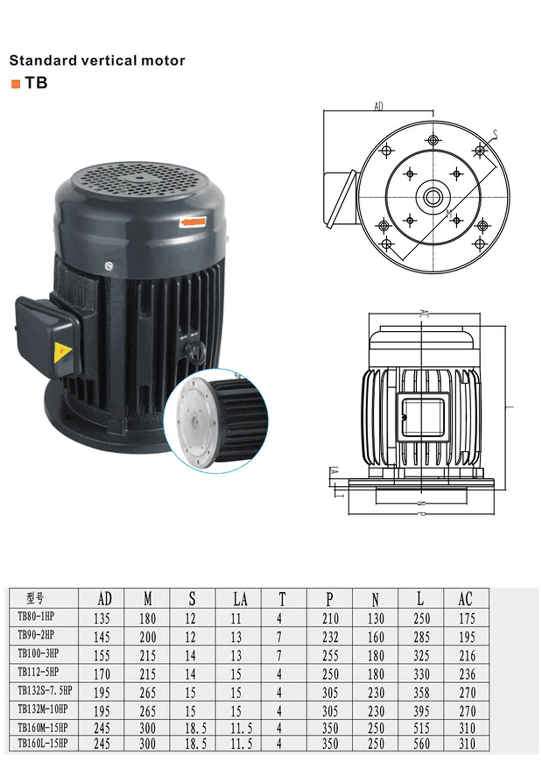 7.5kw 10kw 45kw 55kw 75kw 90kw 120kw 185kw 200kw 220kw 3 Phase AC Induction Electric Motor