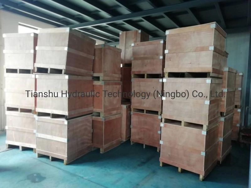 Spare Parts for Staffa Motor/Haotor/Hagglunds Motor Cylinder Block/ Connection Housing/ Shrink Disk/ Distributor/ Thrust Bearing/ Piston