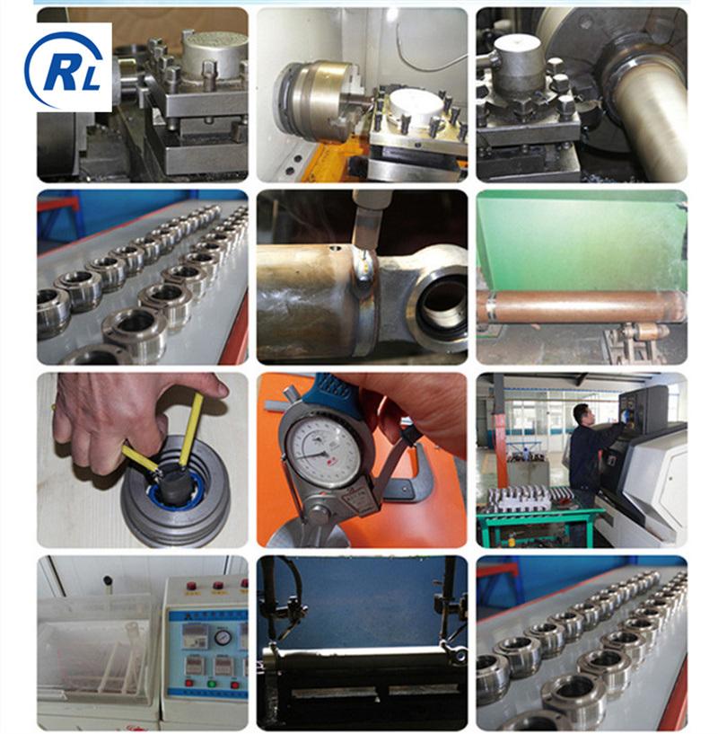 Qingdao Ruilan Customized Hydraulic Tilting Heavy Load Cylinder for Crane