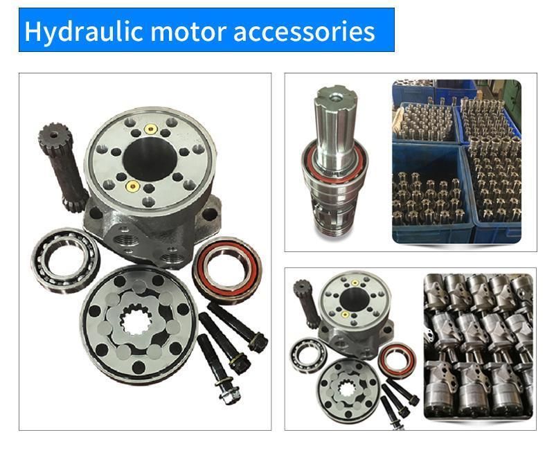 China Manufacture Char-Lynn OMR Omrs 50cc 80cc 100cc 125cc 160cc 200cc 250cc 315cc 375cc Hydraulic Orbital Motor