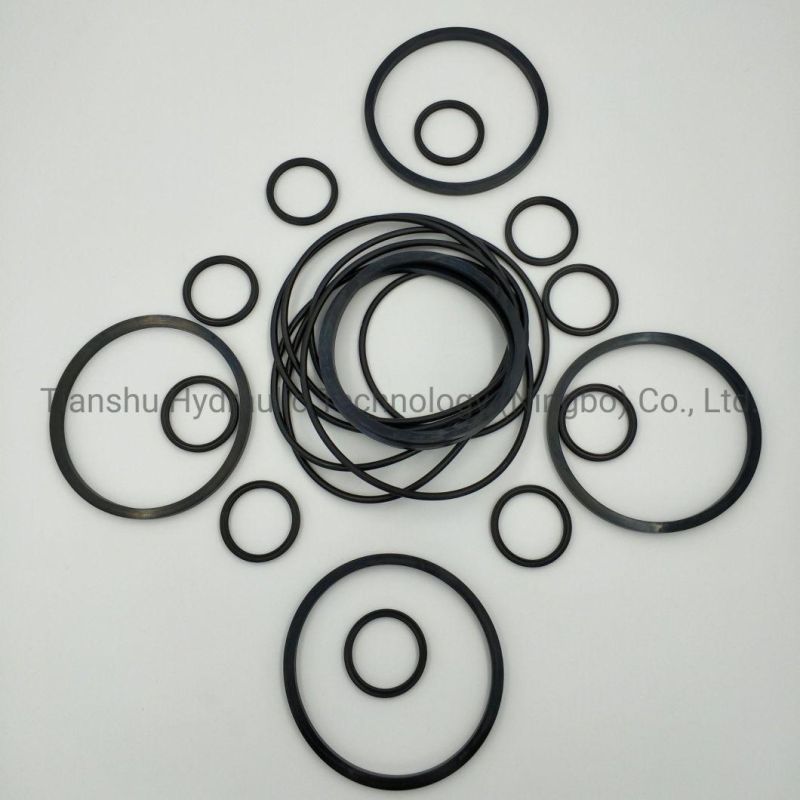 Hydraulic Spare Parts for Hugglunds Hydraulic Motor Seal Kit, Shaft Lip Seal, Wearing Part, Piston Ring.