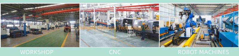 Tsingshi Company Supply Double Acting Surplus Hydraulic RAM Cylinders