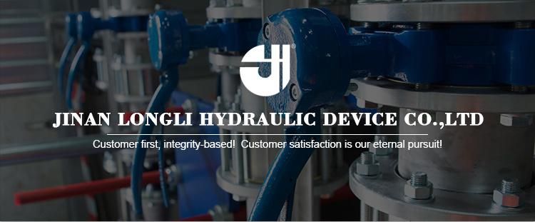 Longli Customized Hydraulic Manifold Blocks with Solenoid valves