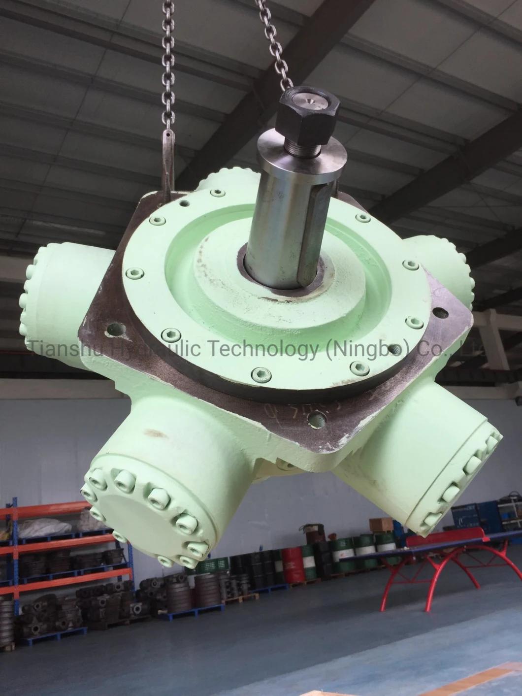 Seven Head Hmhdb270/325 Hmc 270/325 Staffa Hydraulic Motor Radial Piston Low Speed Large Torque Motor.