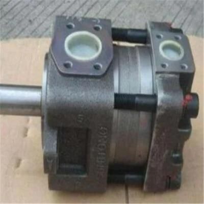 Original Japan Imported Sumitomo Gear Pump Qt62-125f-Z Hydraulic Pump Injection Plastic Oil Pump