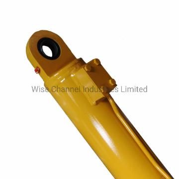 Double Acting Support Swing Hydraulic Cylinder Used in Engineering