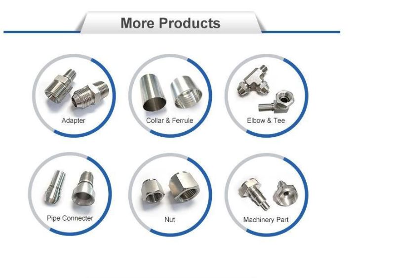 SS316 Metric Cutting Ferrule Thread Bite Type Hydraulic Tube Fittings