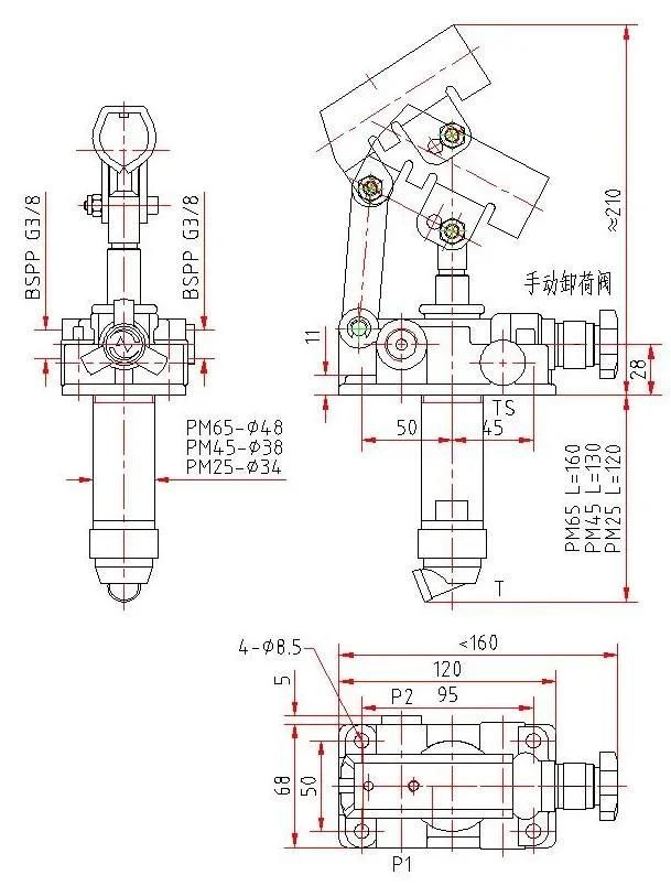 Double Acting Pumps with Relief Valve PMI Series