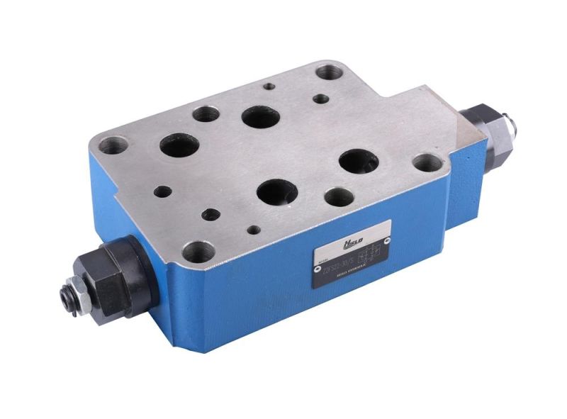 Good Quality Double Throttle Valve Check Valve Z2fs6