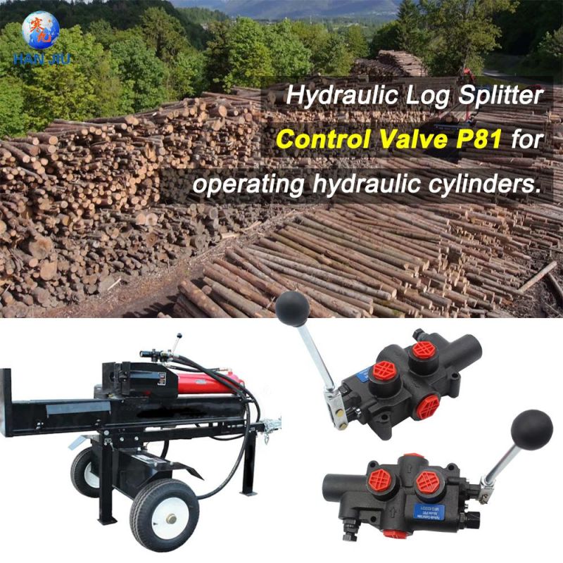 Hydraulic Selector Valve P81 Log Splitter