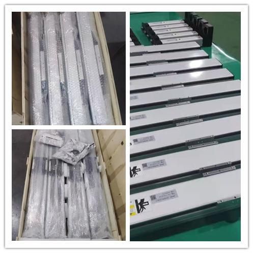 Eb170d Servo Belt Drive Linear Actuator Module