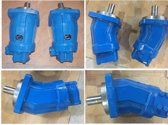 Rexroth Hydraulic Pump A2fo23 From China for Use in Roller