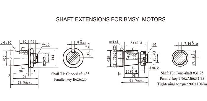 BMS 100 2 Holes/4 Holes Mounting Hydraulic Motor