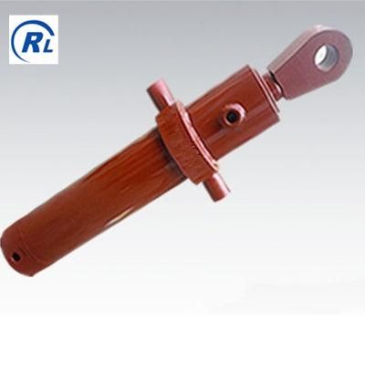 Qingdao Ruilan Customized Clevis Double Action Hydraulic Cylinder with Valve Block