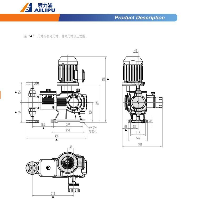 Hydraulic Diaphragm Pump Dosing Pump Factory Price Metering Pump