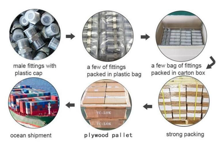 Yc-Lok Tube Fittings Cap for Chemical Power Oil Gas Industry