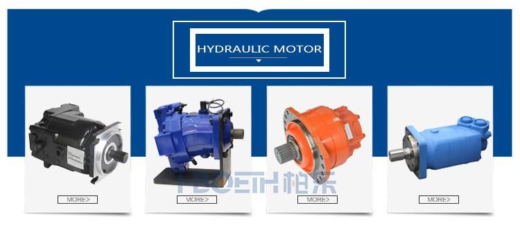 Parker Vickers Denison Series Hydraulic Vane Pump T6cc T6DC T6ee T6ec T6ED T7bb T7dd T7cm T7 T6ccds T67DC T7eds T7ED T67dbb T67dcc Vanepump Yuken Hboeth NACHI