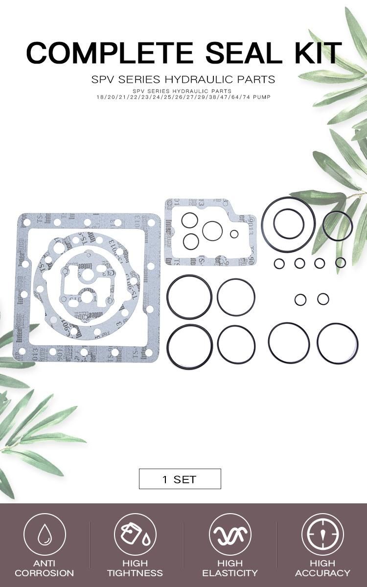 Spv Hydraulic Plunger Pump Parts - Seal Kit with Sauer Danfoss