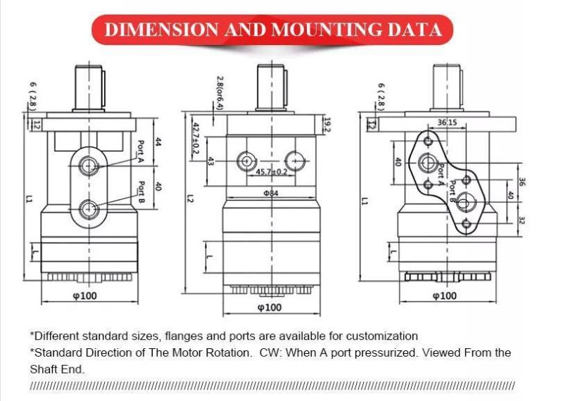 China Manufacture Char-Lynn OMR Omrs 50cc 80cc 100cc 125cc 160cc 200cc 250cc 315cc 375cc Hydraulic Orbital Motor