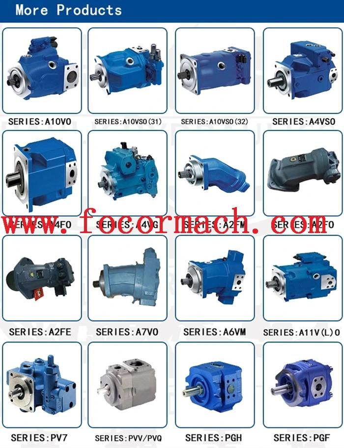 Rexroth A2fe160/180 /250 Hydraulic Piston Motor for Construction